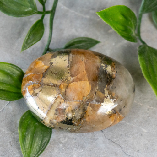 Lion's Gate Quartz Palmstone #2