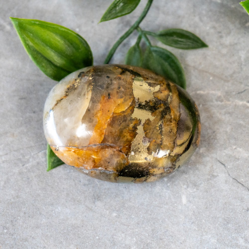 Lion's Gate Quartz Palmstone #2