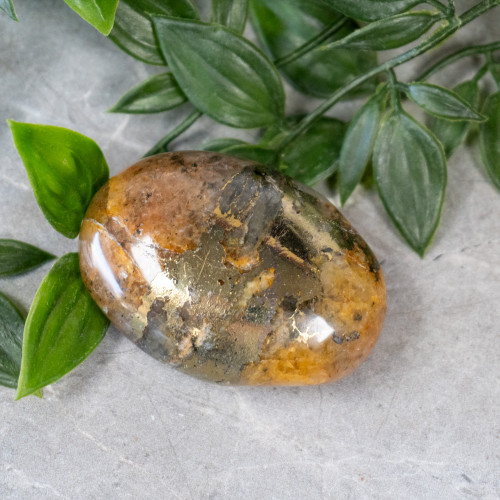 Lion's Gate Quartz Palmstone #1