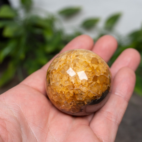 Lion's Gate Quartz Sphere #1