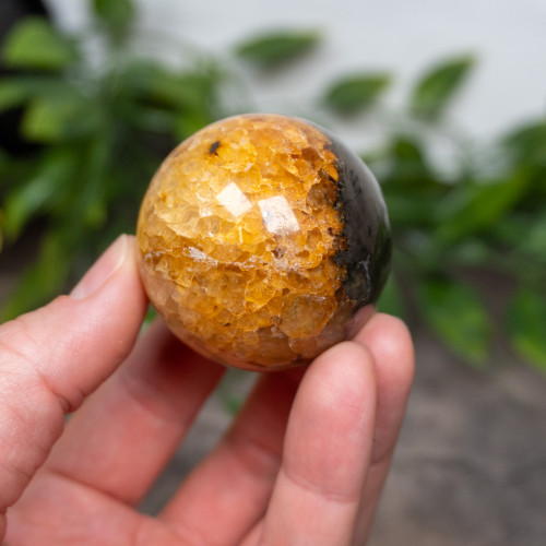 Lion's Gate Quartz Sphere #1