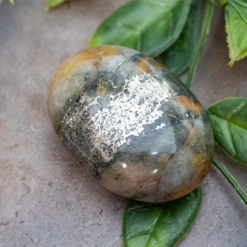 Lion's Gate Quartz Palmstone #18