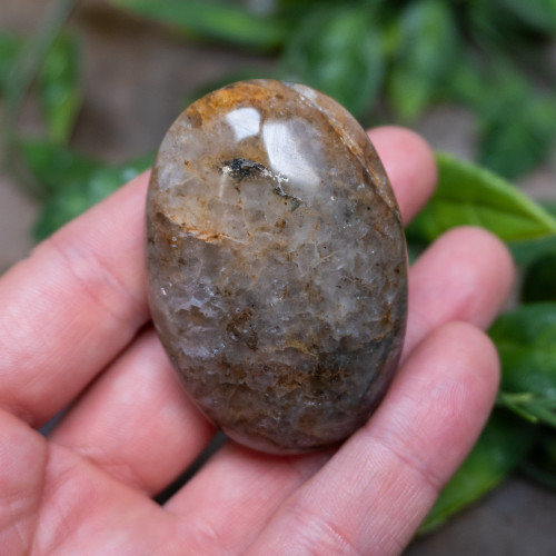 Lion's Gate Quartz Palmstone #16