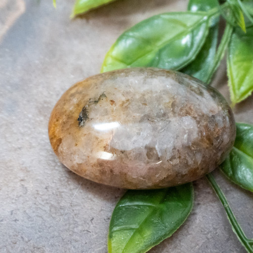 Lion's Gate Quartz Palmstone #16