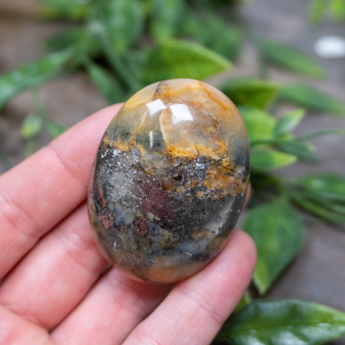 Lion's Gate Quartz Palmstone #15