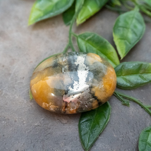 Lion's Gate Quartz Palmstone #15