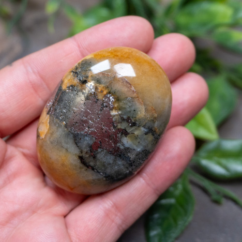 Lion's Gate Quartz Palmstone #14