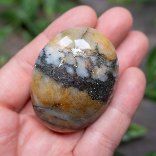 Lion's Gate Quartz Palmstone #12