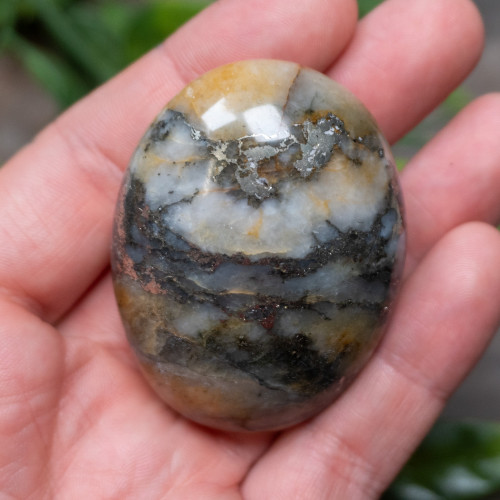 Lion's Gate Quartz Palmstone #12