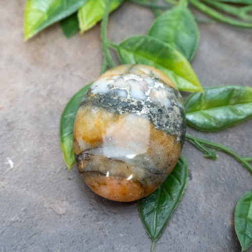 Lion's Gate Quartz Palmstone #12