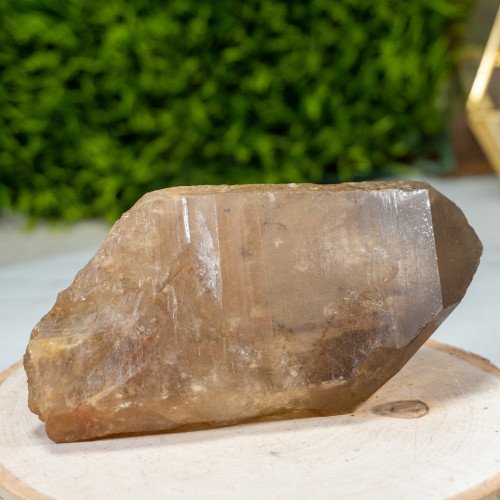 Medium Natural Citrine Point #2