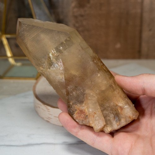 Medium Natural Citrine Point #3
