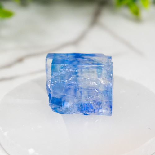 Blue Halite #14