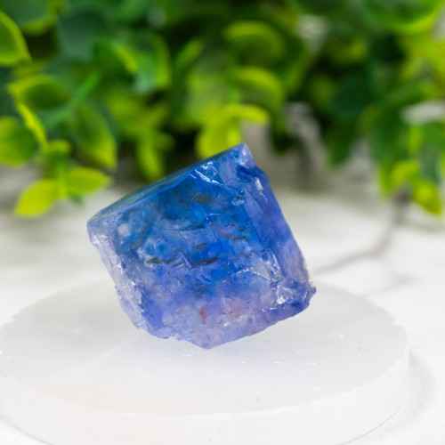 Blue Halite #12