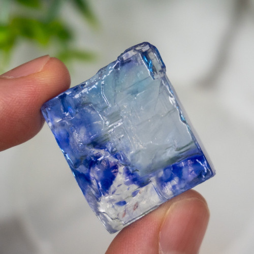 Blue Halite #13