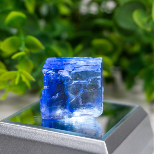 Blue Halite #11