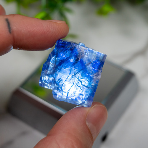 Blue Halite #10