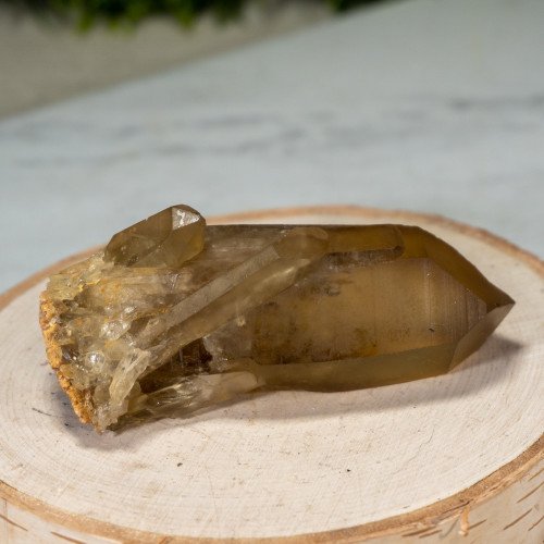 Small Natural Citrine Point #5
