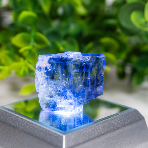 Blue Halite #9
