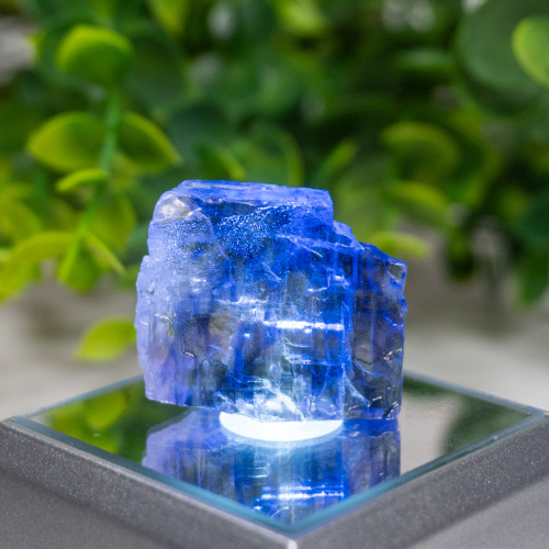 Blue Halite #9