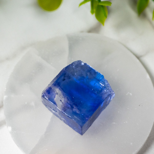 Blue Halite #8