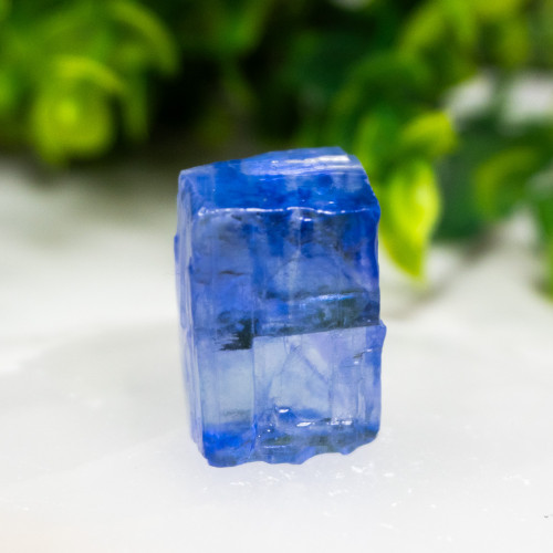 Blue Halite #7