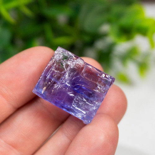 Blue Halite #6