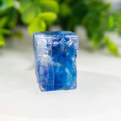 Blue Halite #5