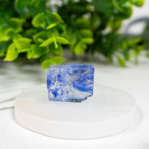 Blue Halite #4