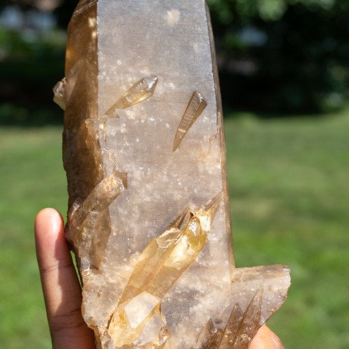 Large Natural Citrine Point #2