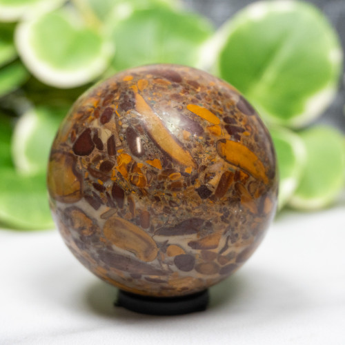 Fruit Jasper Sphere #6