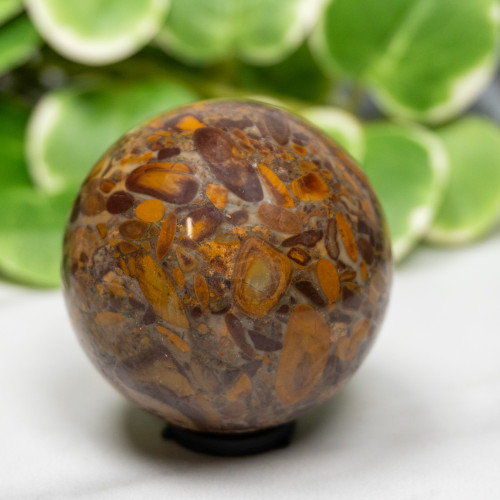 Fruit Jasper Sphere #6