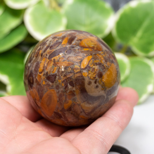 Fruit Jasper Sphere #6