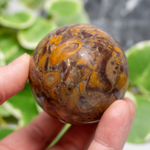 Fruit Jasper Sphere #6