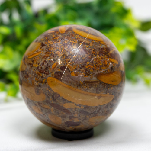 Fruit Jasper Sphere #4