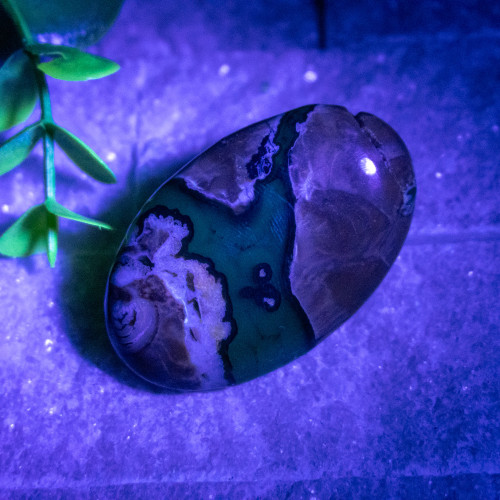 Volcano Agate (UV Reactive) Palmstone #20