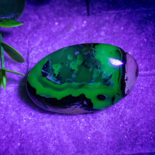 Volcano Agate (UV Reactive) Palmstone #18