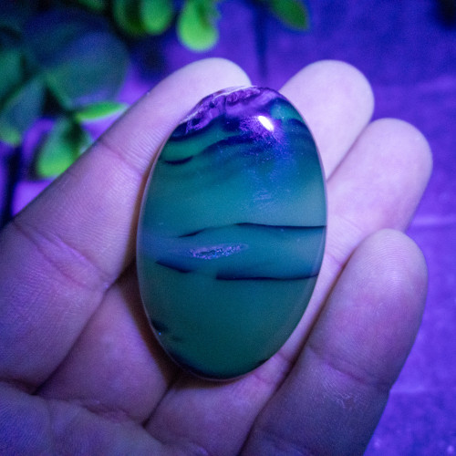 Volcano Agate (UV Reactive) Palmstone #17