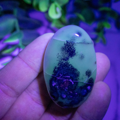 Volcano Agate (UV Reactive) Palmstone #4