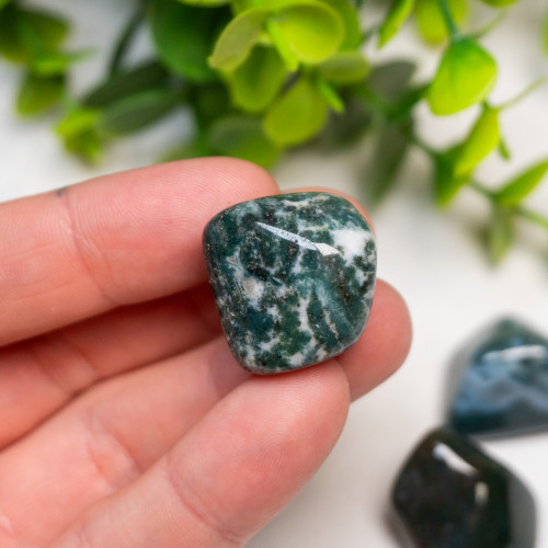 Moss Agate Tumbled