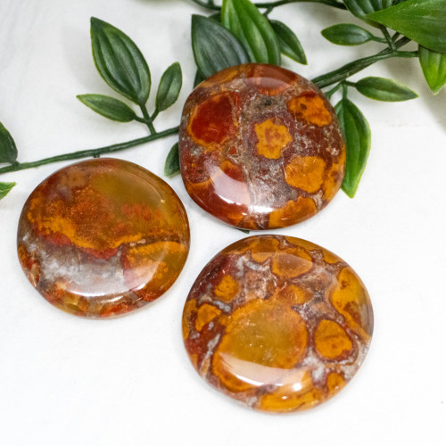 Cobra Jasper Palmstone