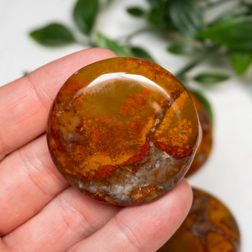 Cobra Jasper Palmstone