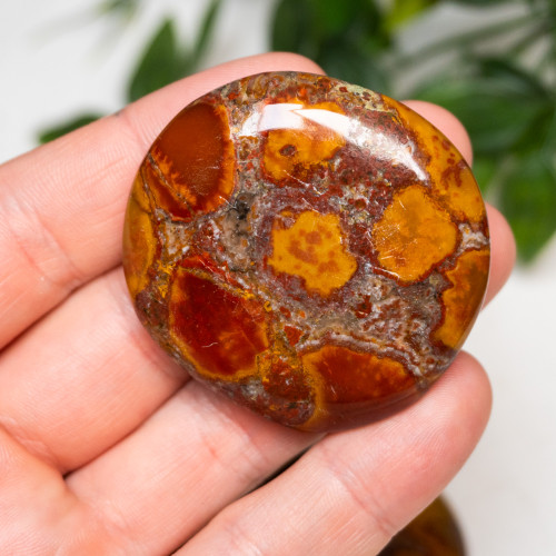 Cobra Jasper Palmstone