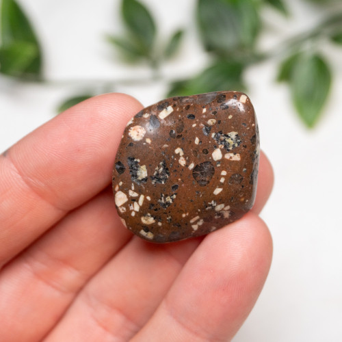 Spotted Jasper Tumbled