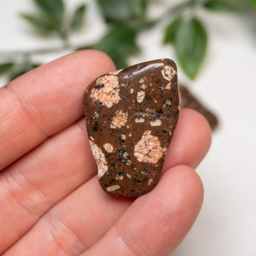 Spotted Jasper Tumbled