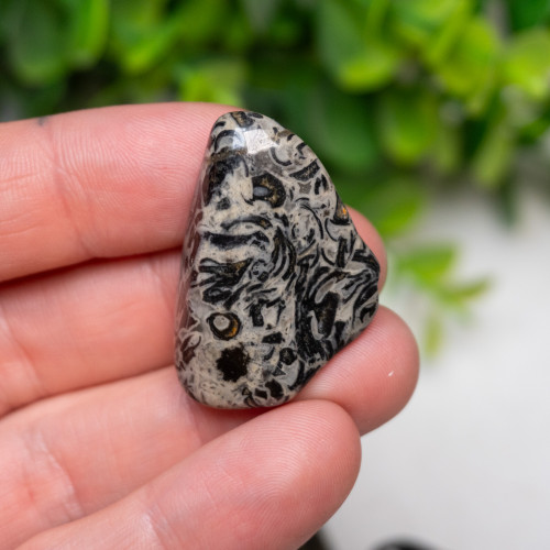 Silver Leaf Jasper Tumbled