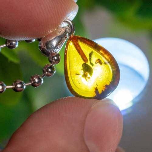 Baltic Amber Pendant #9