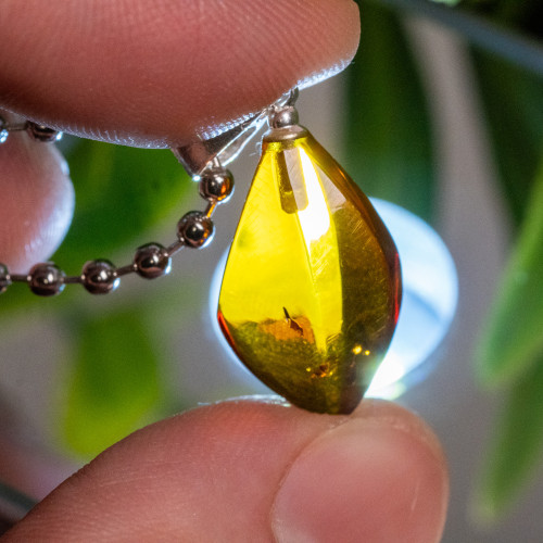 Baltic Amber Pendant #7