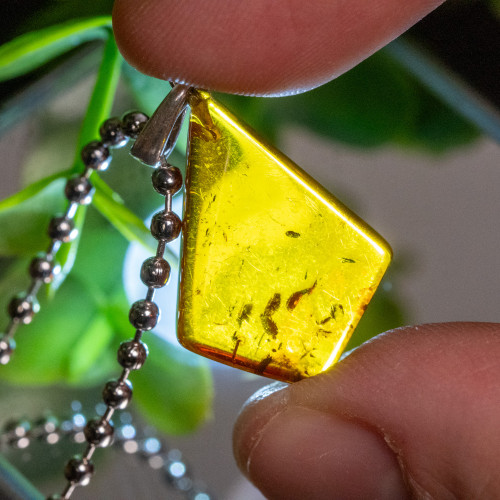 Baltic Amber Pendant #4