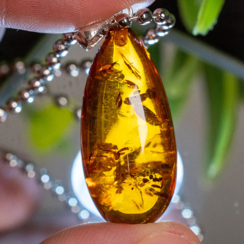 Baltic Amber Pendant #1